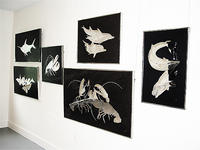 (3) Gallery Exhibit North Atlantic Species