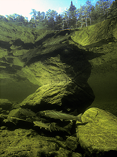 (22) Home Pool on the Dartmouth river